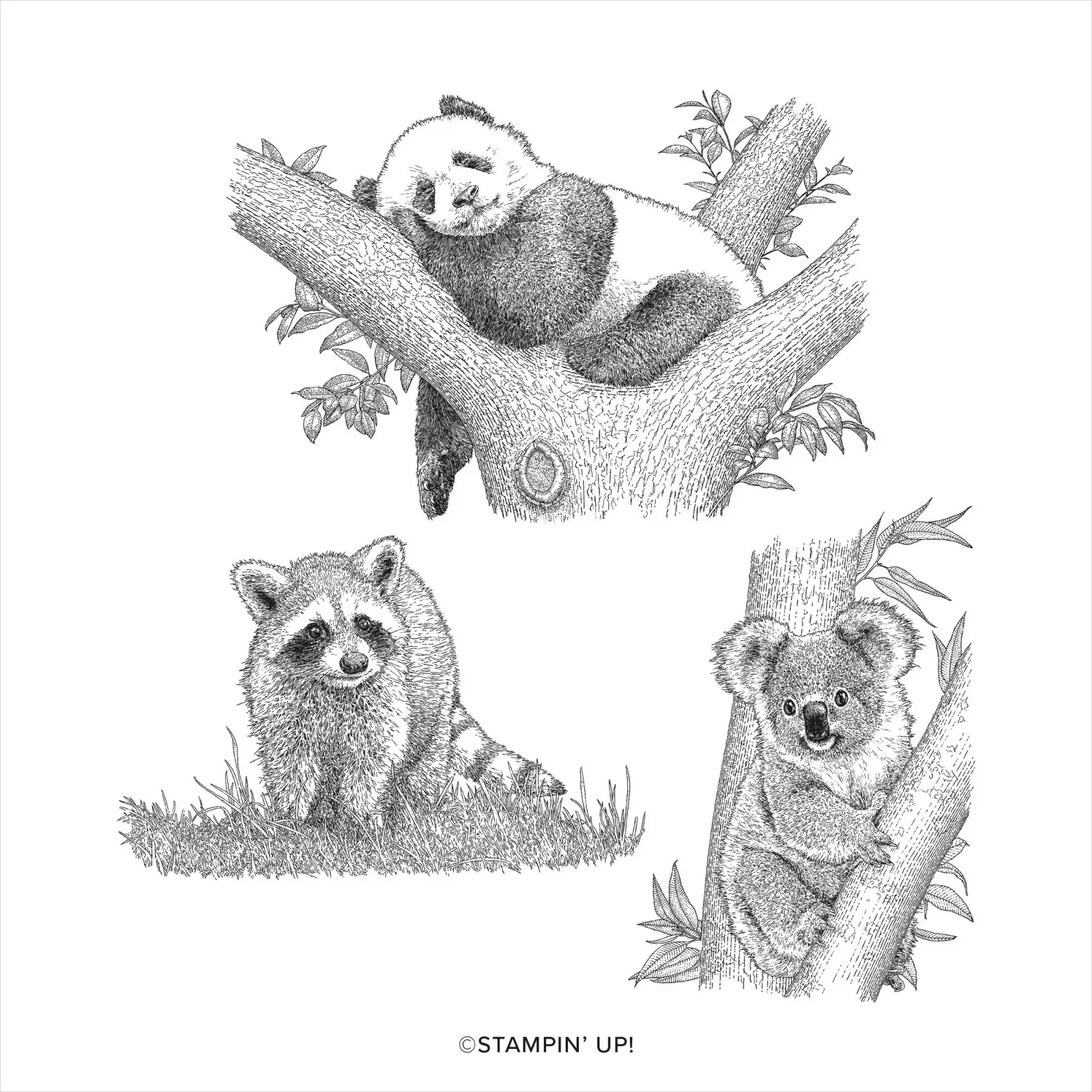 Новинка 2022 года июль-декабрь штамп для мобильного телефона с рисунком панды в