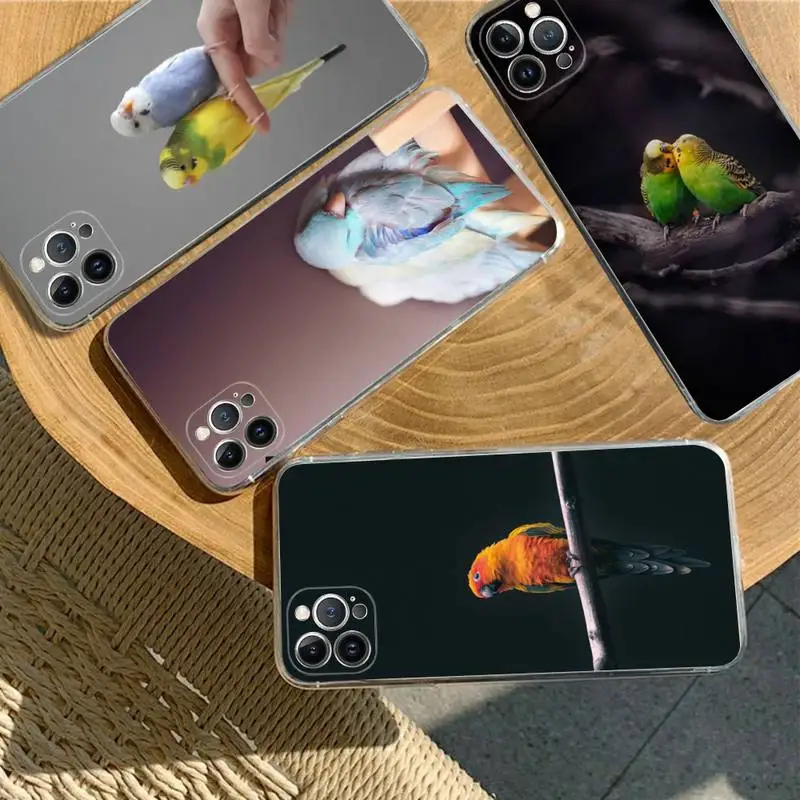 

Lovely birds Phone Case For iPhone XR X XS Max 14 13 Pro Max 11 12 Mini 6 7 8 plus SE 2020 Printing Cover