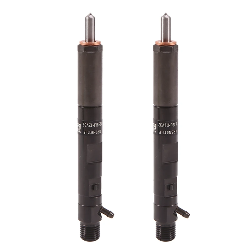 

2X Diesel Fuel Common Rail Injector Nozzle for Delphi Renault Clio Nissan Dacia Suzuki 1.5DCI EJBR03101D