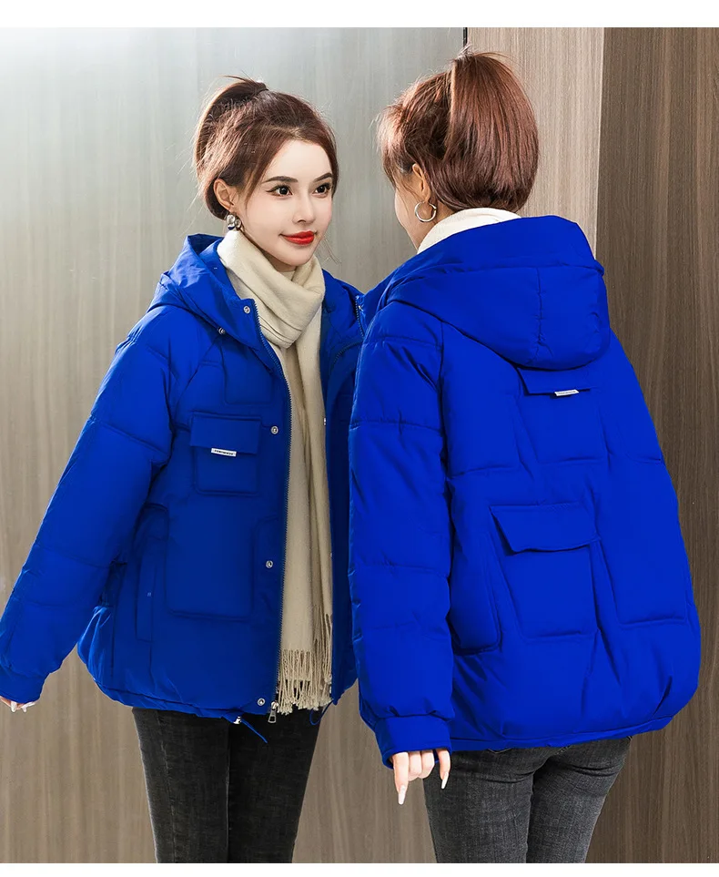 Bubble Coat Jacket Woman Winter 2023 New In Outerwear Quilted Spring Female Demi-season Shirts and Blouses Zipper Casual enlarge