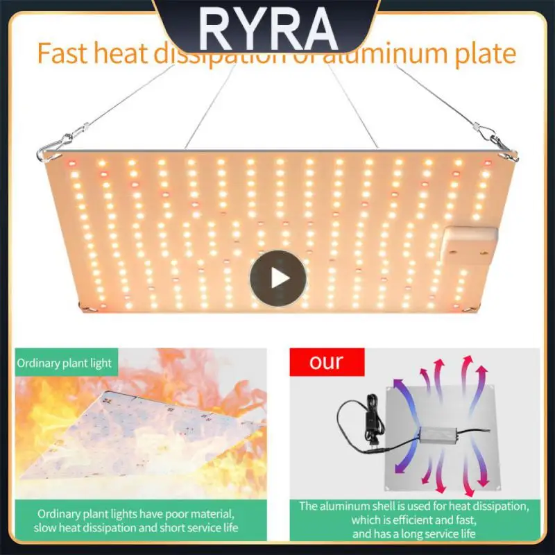

Plant growth light Full Spectrum high-brightness LED integrated chip safe durable Greenhouse Plants Growth Lighting