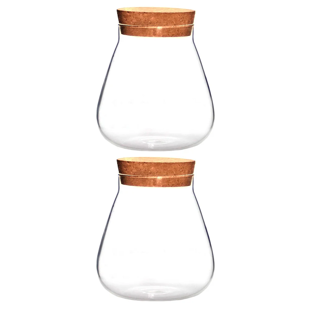 

2Pcs Storage Bottle Ecological Jar Glass Seal Canister Micro Landscape Jar for Decoration Home Bar