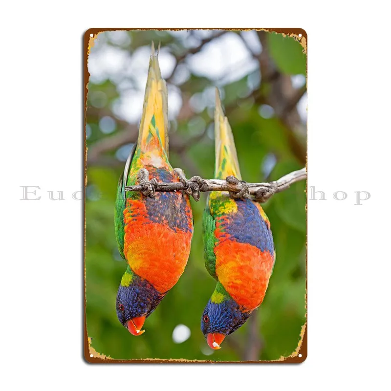 

Радужный Lorikeets металлический знак, домашняя фотография стены, печатный кинотеатр, оловянный знак, плакат