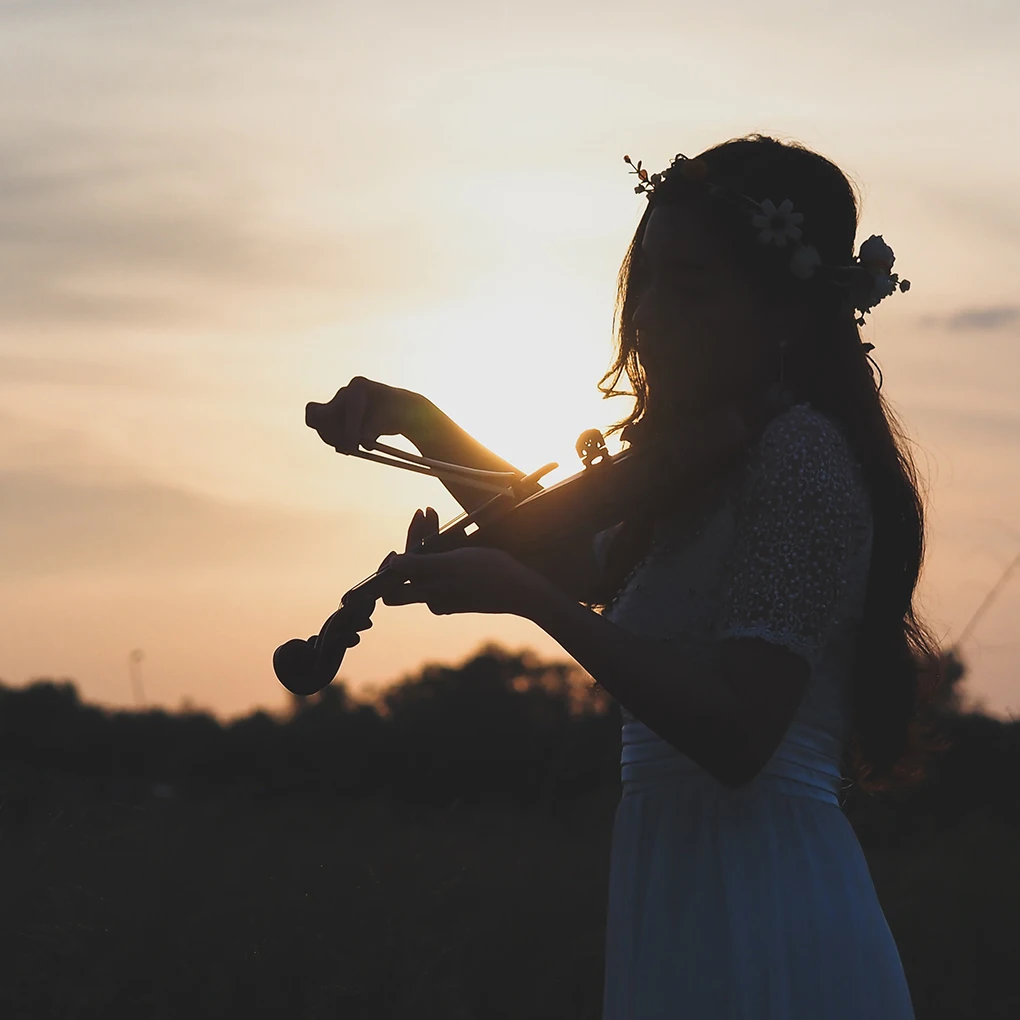 

Комплекты для подбородка для скрипки, колышки для настройки, деревянные запасные части для ремонта задней части