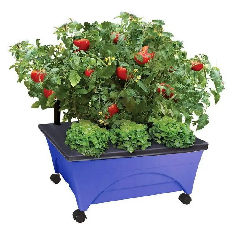 

City Picker Raised Bed Box – Self Watering and Improved Aeration – Unit with Casters - Cobalt Blue