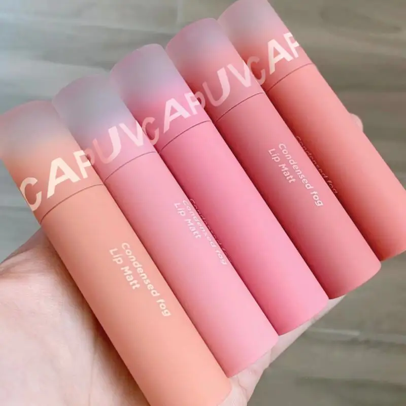 

5 Colors Lip Gloss Nude Matte Velvet Lipstick Waterproof Long Lasting Women Red Lip Tint Lip Glaze Cosmetics Makeup Cappuvini