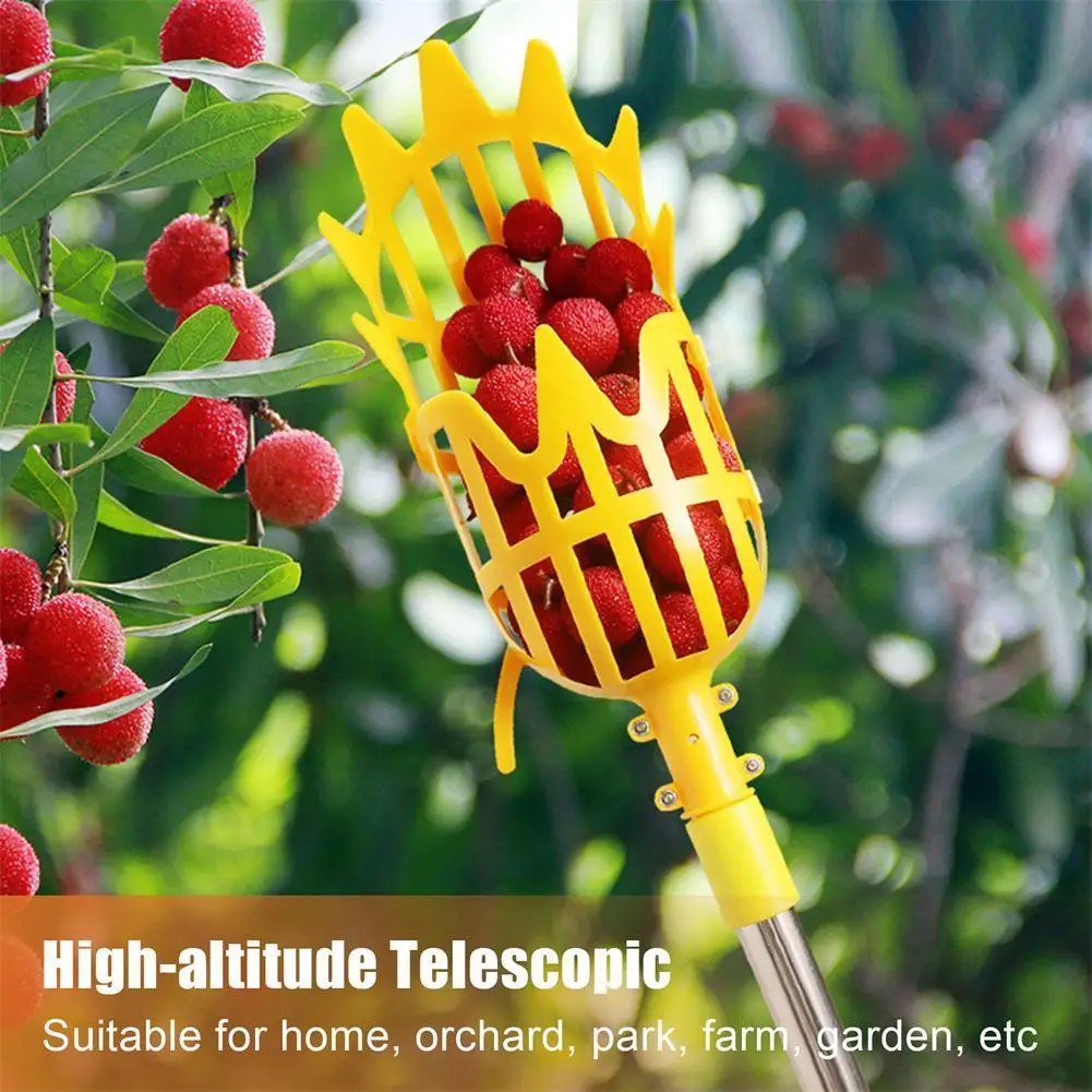 

Orchard Fruit Picker Picking Bayberry High-altitude Tool Picking Bayberry Fruit Supplies Picking Peach Jujube Agricultural E9w9