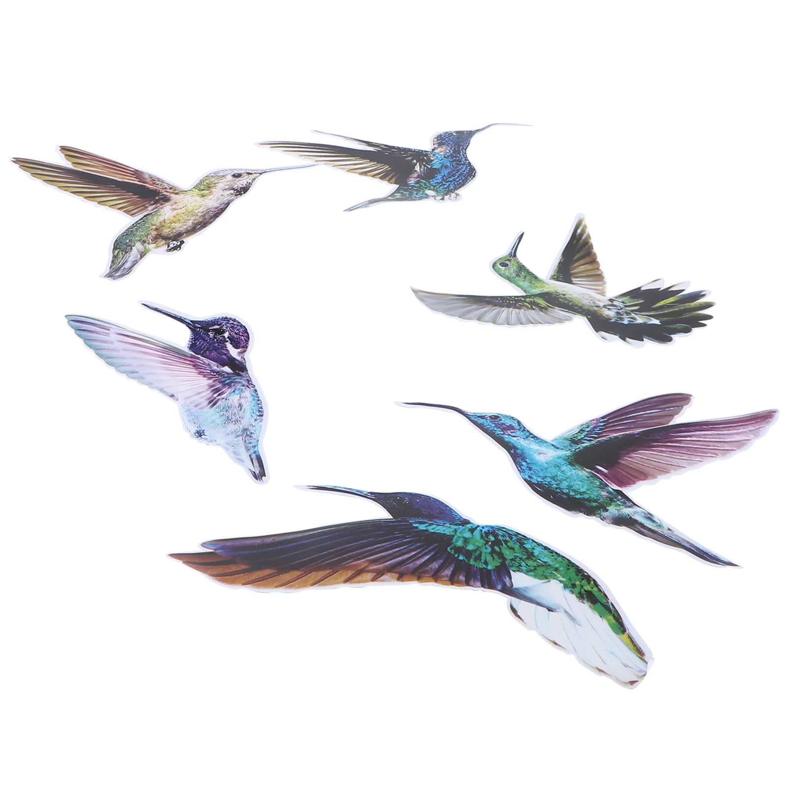 

Window Bird Stickers Alert Anti Collision Decals Decal Wall Clingvinyl Hummingbird Clings Birds Animals Adhesive Strike Leaf