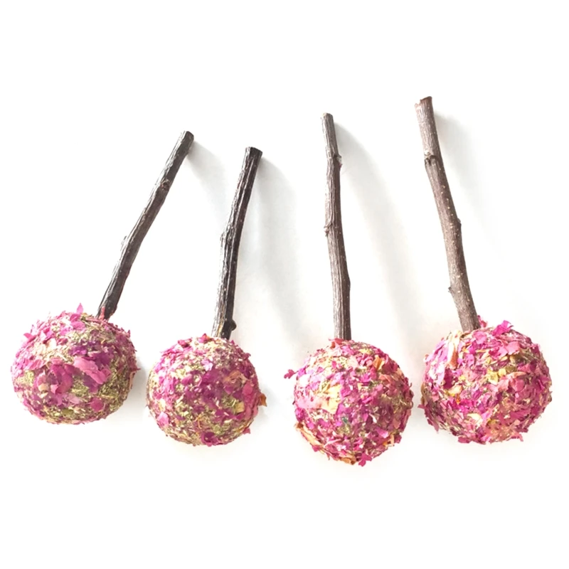 

Игрушки для жевания с кроликом, шарики для лечения сена, деревянные палочки для жевания травы, яблоко, игрушка для белки, маленького питомца,...