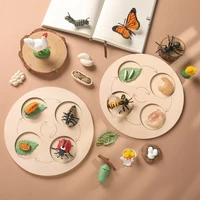 kids montessori animals life cycle board insect figurines butterfly bee life cycle plastic safariology bug figures toy