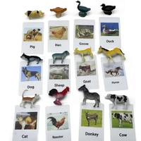 kids montessori light table toys animal matching card montessori educational preschool training toys juguete montesori c1766f