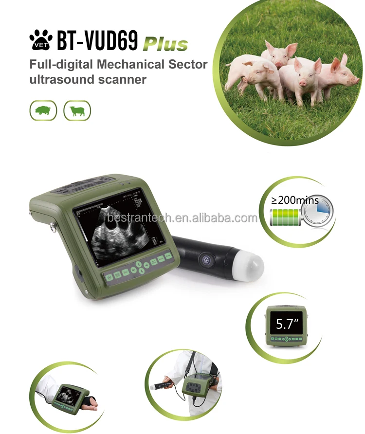 BT-VUD69 Bestran Быстрая доставка Vet USG портативный Ветеринарный ультразвуковой сканер с