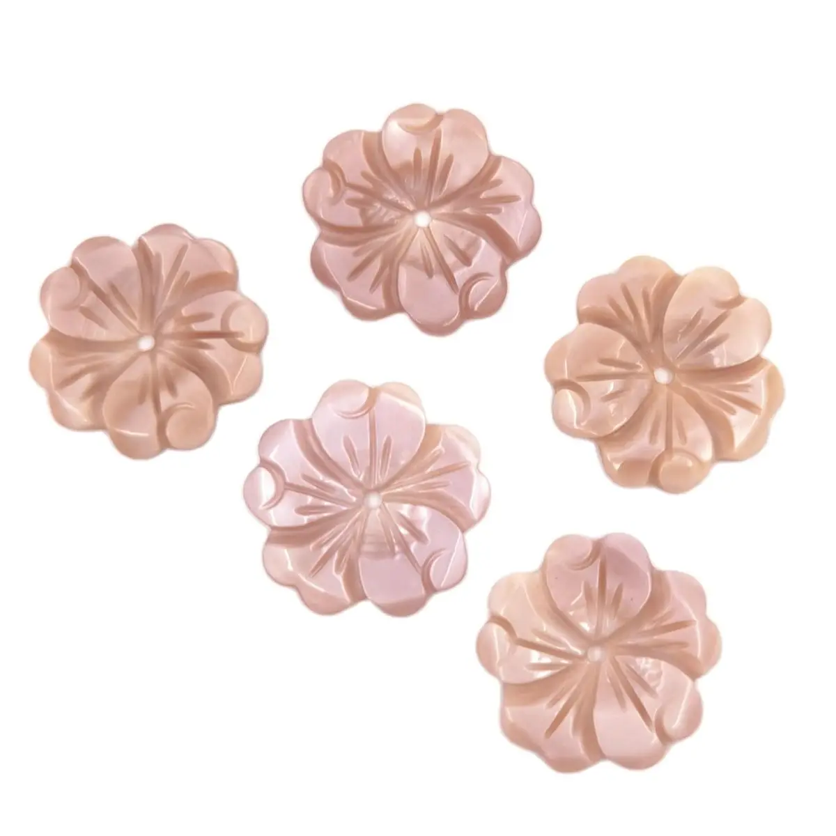 

Lots 5 PCS Natural Queen Conch Shell Flower 20mm Loose Charms DIY Bead Design