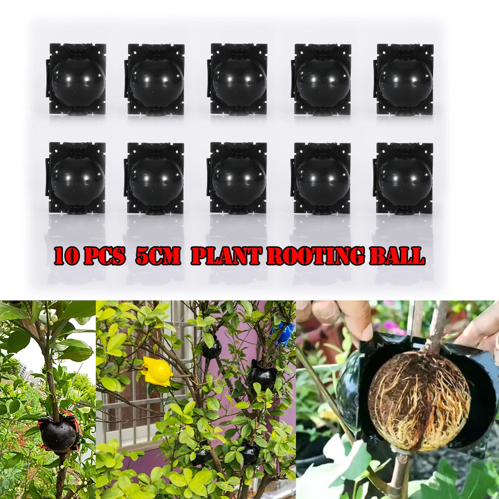 

10pcs 5pcs 5cm Plant Rooting Equipment High Pressure Propagation Ball Graft Box Breeding Case For Garden Graft Box Sapling