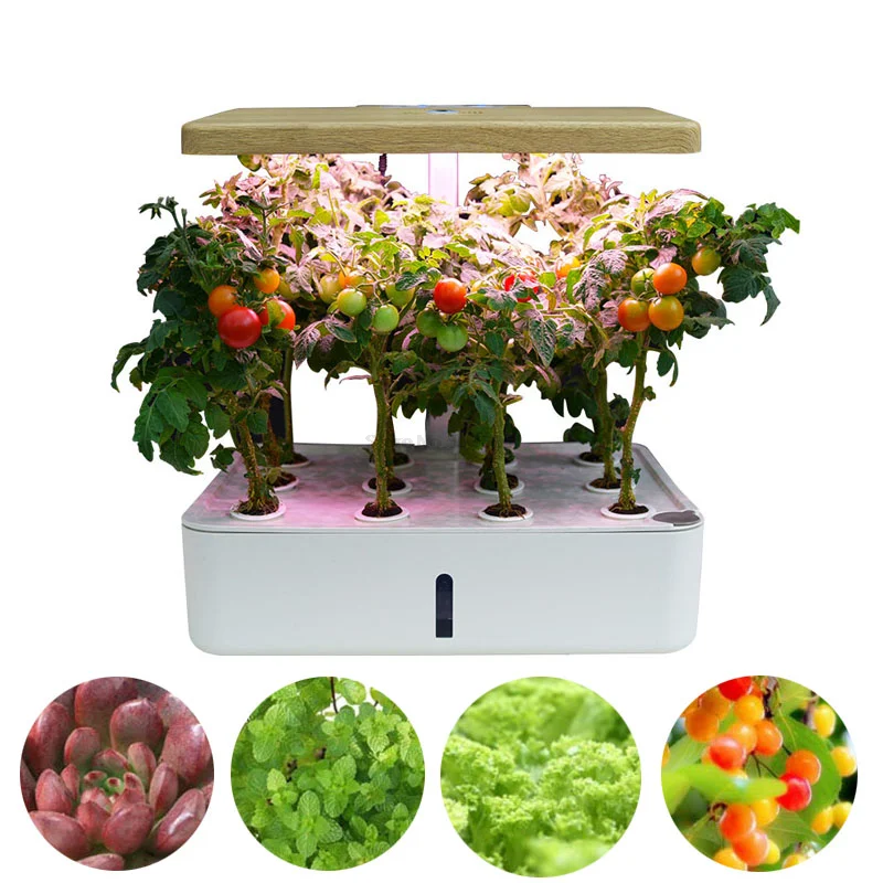 12 Plants Desktop Smart Hydroponic Kits With LED Lights Indoor Intelligent Planting Lettuce Tomato Flower Fruit at Home Office