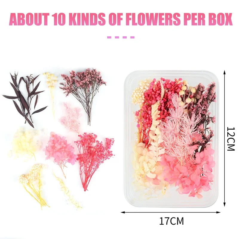 Натуральный сушеный цветок 1 коробка вечерние Праздничная фотолампа для
