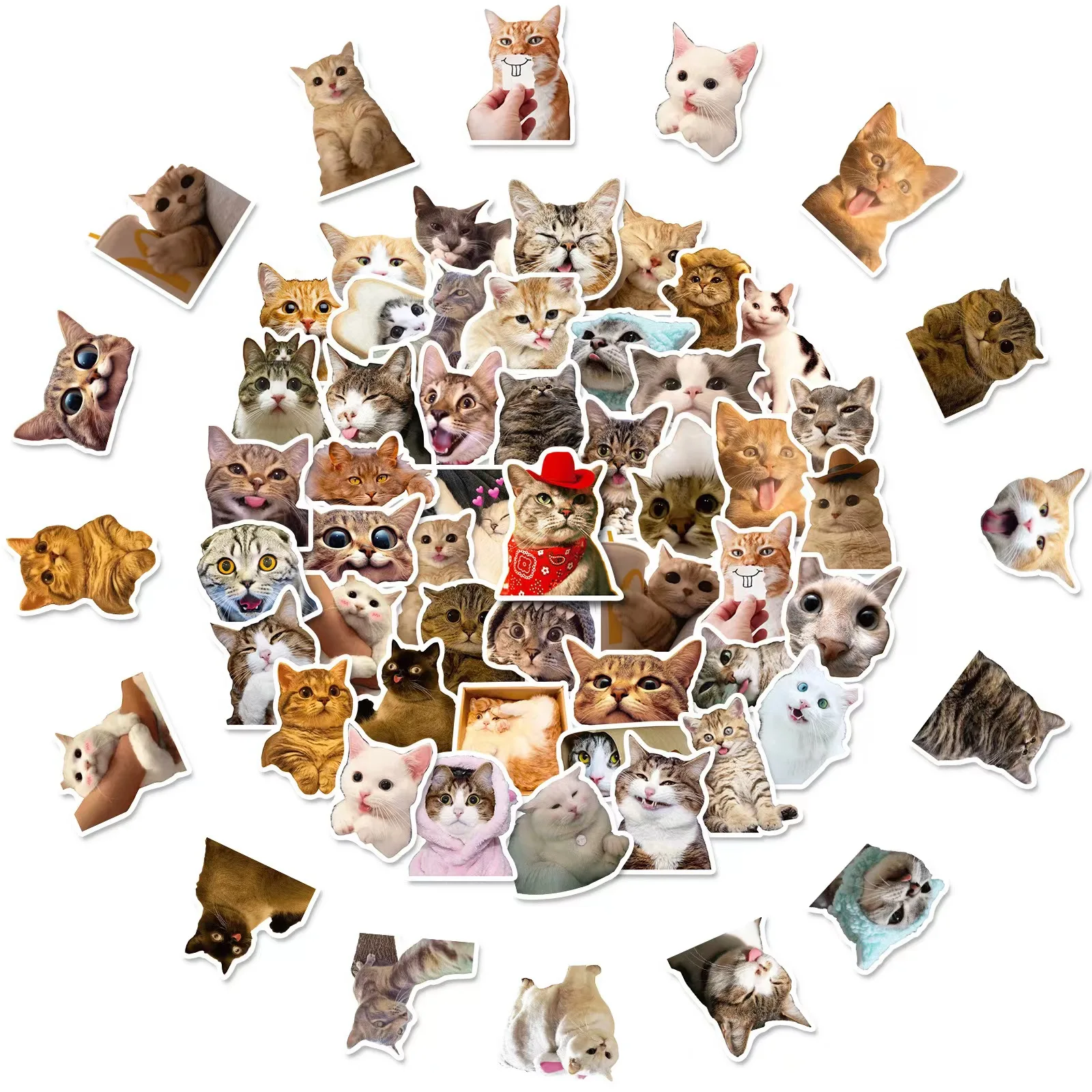 

50Pcs Cute Cat Stickers，Waterproof Sticker for DIY， Luggage and Teaching, Best Gift