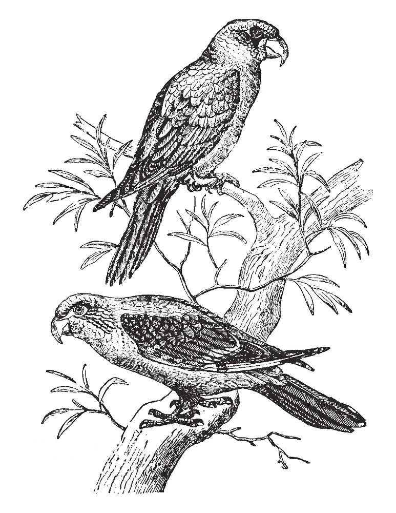 

Bird On Branch Clear Stamps Scrapbooking Crafts Decorate Photo Album Embossing Cards Making Clear Stamps New