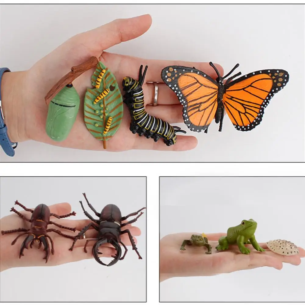 

Dropshipping!Early Educational Toy Realistic Animal Design Growth Cycle Plastic Simulation Kids Learning Miniature for Children