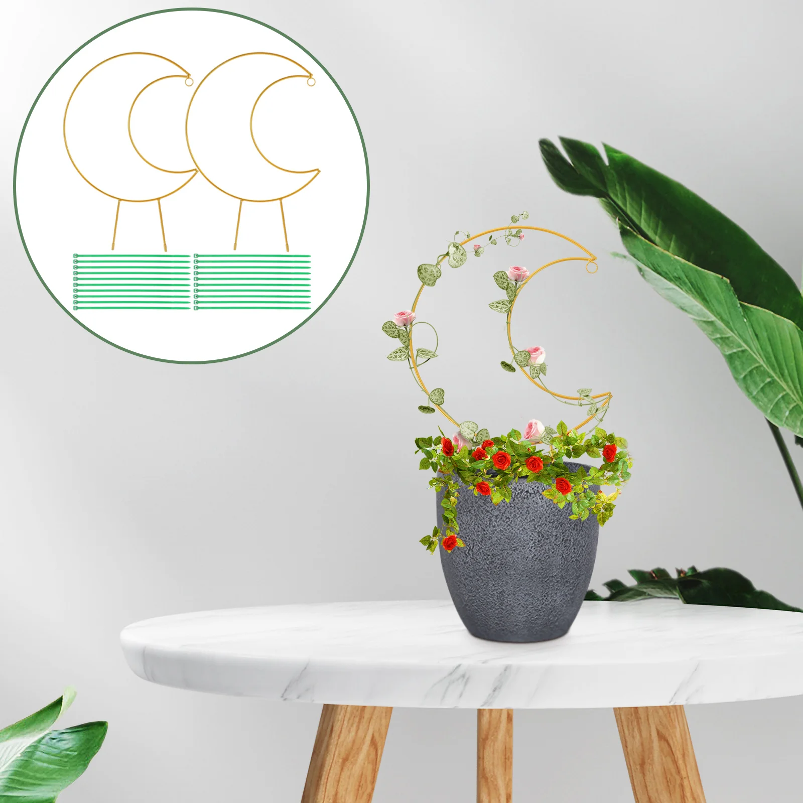 

Trellis Climbing Support Vine Indoor Tomato Stakes Strawberry Stand Flower Accessories Crop Ties Potted Flowers Holder Rings