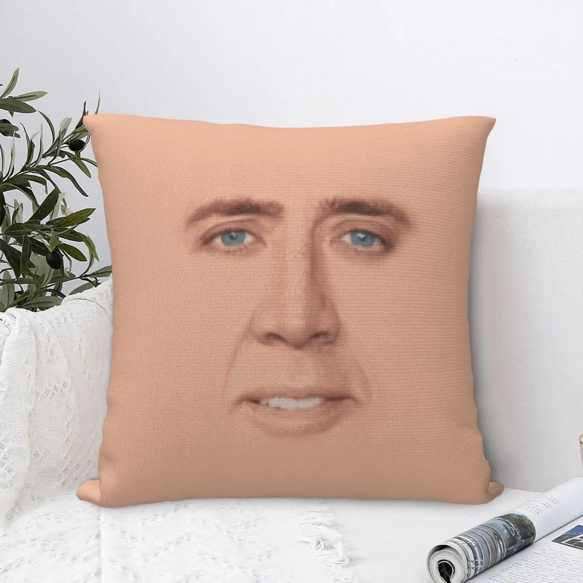 

Nicolas Cage Full Face Square Pillowcase Cushion Cover Decorative Pillow Case Velvet Throw Pillow cover For Home Bedroom Car