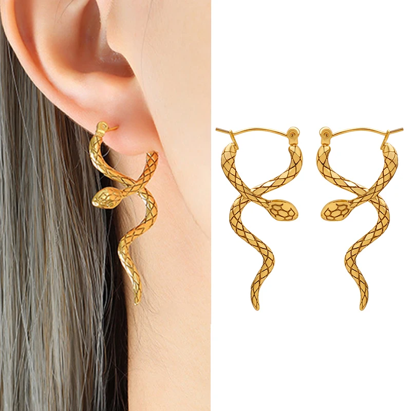 

Stainless Steel Vintage Big Snake Shape Dangle Earrings For Women Girl Retro Drop Earrings Small Object Earring Jewelry Bijoux