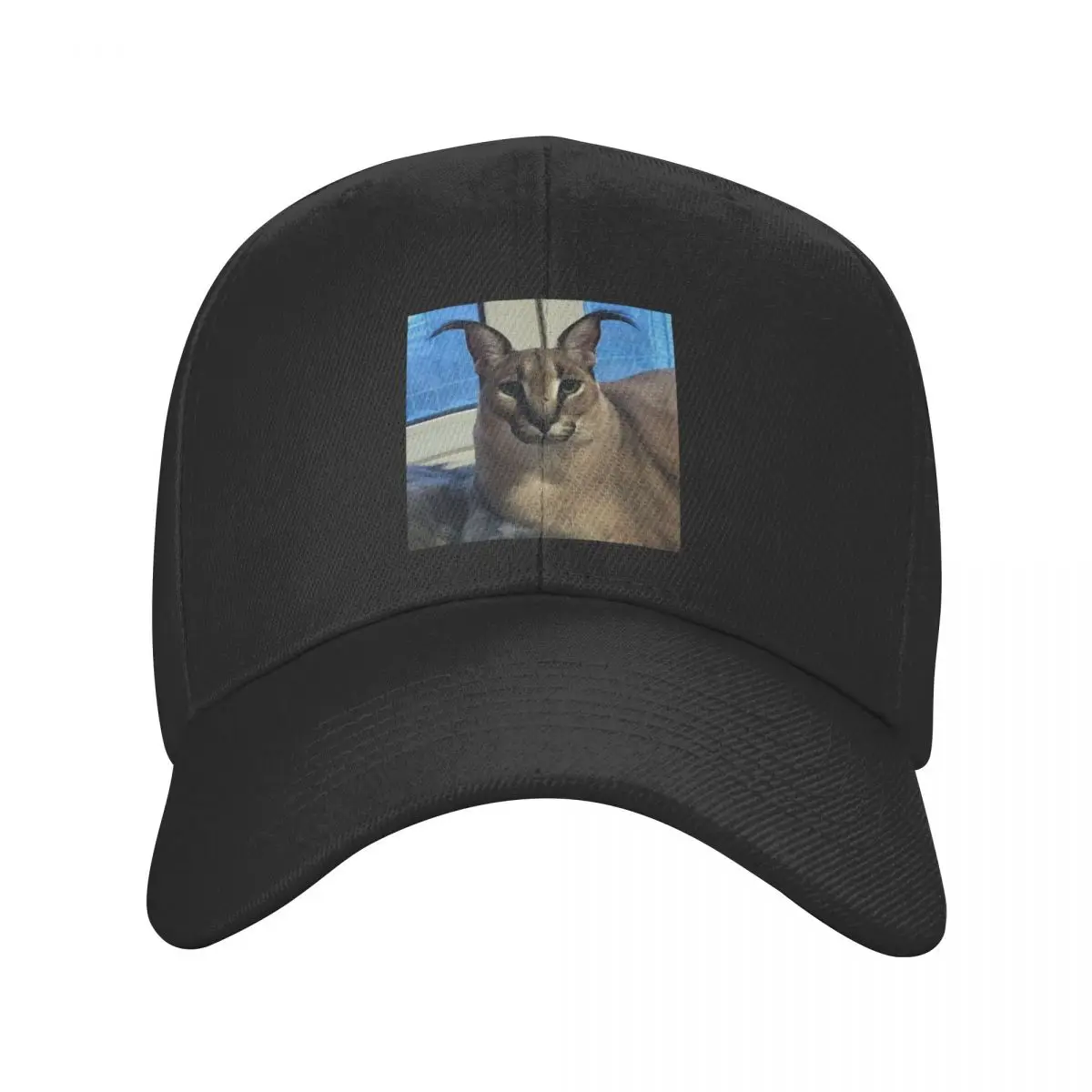 

New Big Floppa Funny Meme Baseball Cap Men Women Adjustable Caracal Cat Dad Hat Permance Snapback Caps