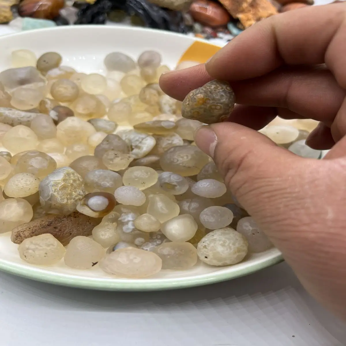 Natural Crystal Raw Stone Inner Mongolia Gobi Desert White Agate Saccharine Agate Pictographic AgateEyes Agate A Plate