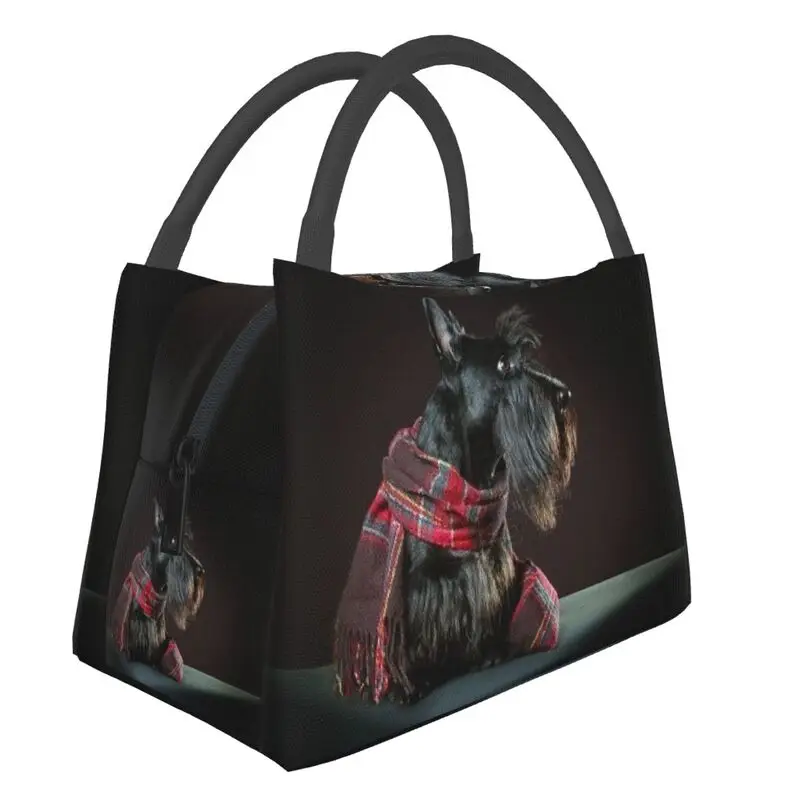 

Scottish Terrier Insulated Lunch Bag for Work Office Scottie Dog Resuable Thermal Cooler Lunch Box Women