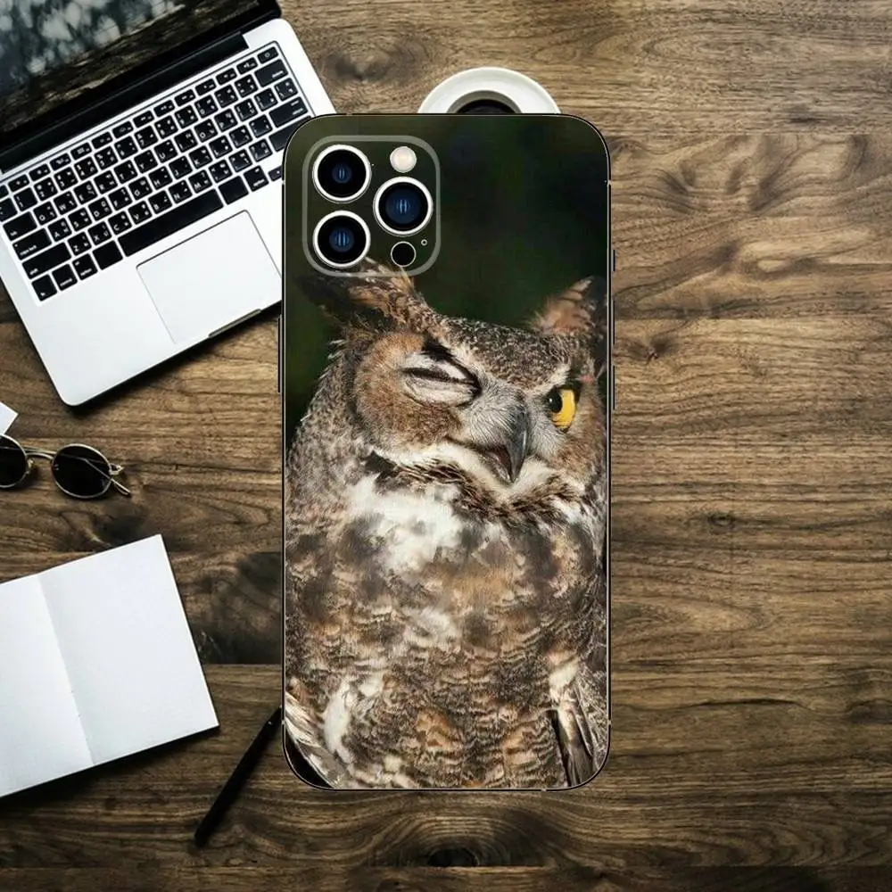 Фото Милый чехол для телефона «Птица Сова» для iPhone 16,15,14,13,12,11,XS,XR,X,8,7,Pro,Max,Plus,mini, силиконовый черный чехол №3