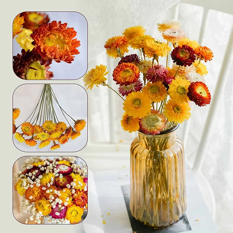 

Natural Dried Daisy Flowers Bouquet 40Pcs Artificial Sunflowers Chrysanthemum,Dry Flower Arrangements Wedding,Table Vase Decor