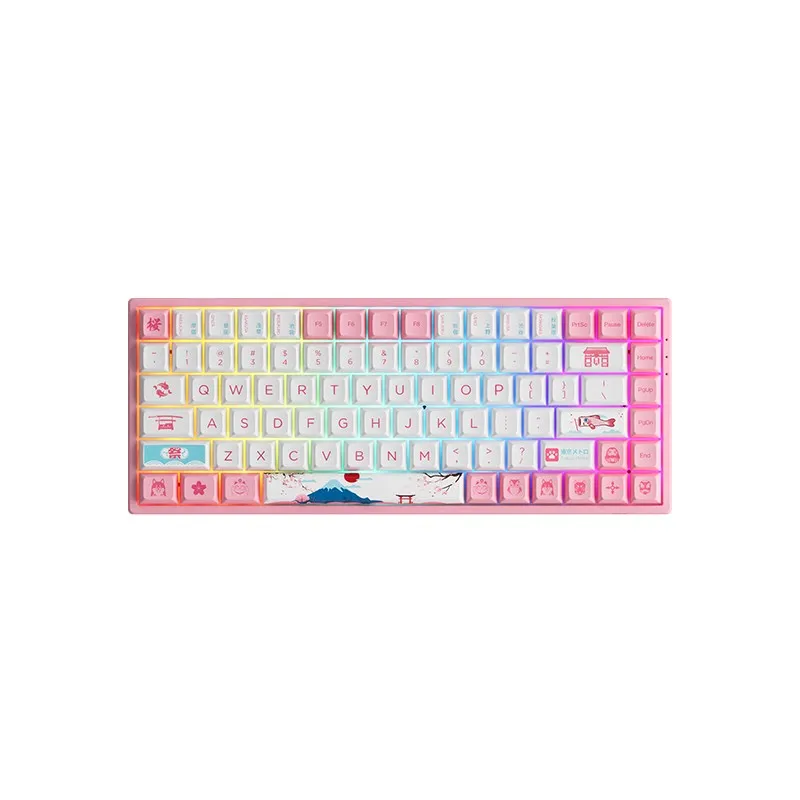 

Akko 3084B Plus World Tour Tokyo R2 OEM RGB Hot-Swap Wireless Mechanical Gaming Keyboard 84-Key Multi-Modes BT 5.0/2.4GHz/Type-C