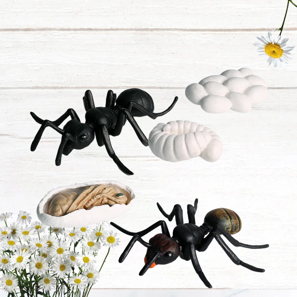 

5 PCS Black Decor Garden Ant Decoration Fake Plastic Bugs Insects Plastic Bugs Insects Kids Insects Toys Ants Decoration