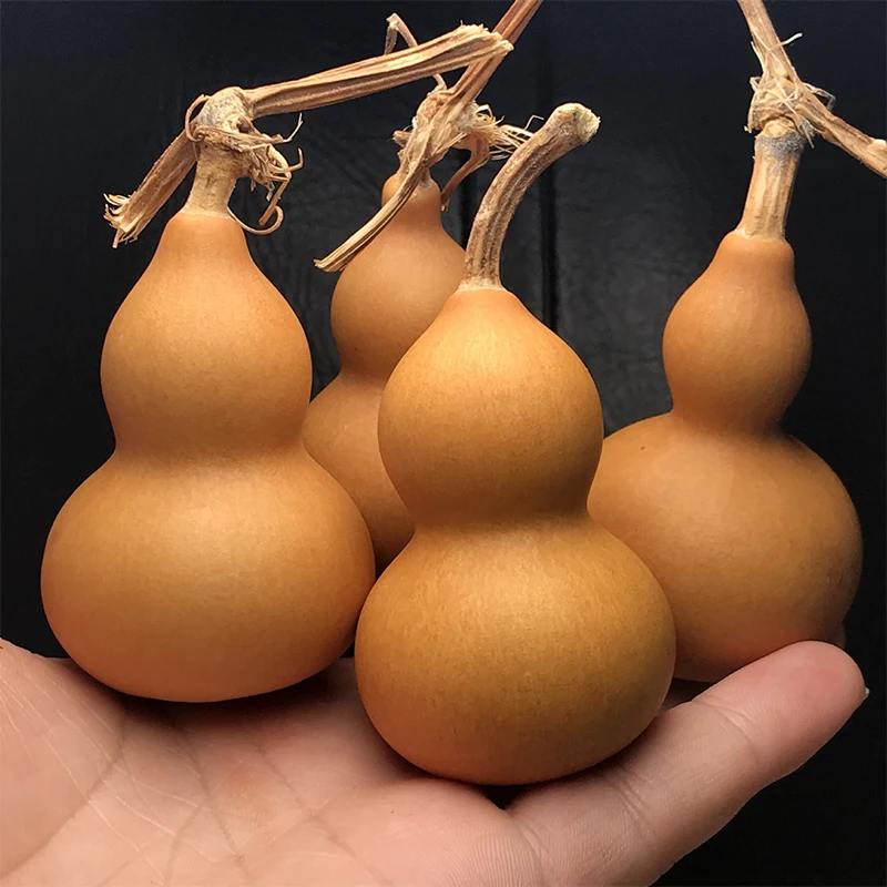 4pcs Natural Random Dry Gourd Crafts Arts Collection Mini Bottle Gourd Dried DIY Doodle Carving Hanging Gift Toys