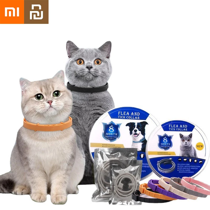 Can You Give A Dog Cat Wormer