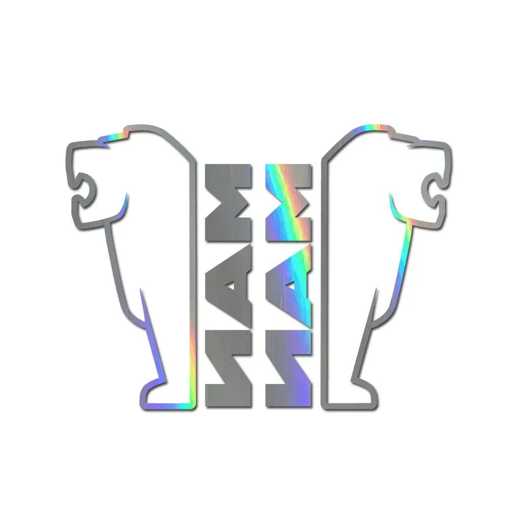 

For MAN truck window decals x 2. truck stickers, TGA TGS TGX