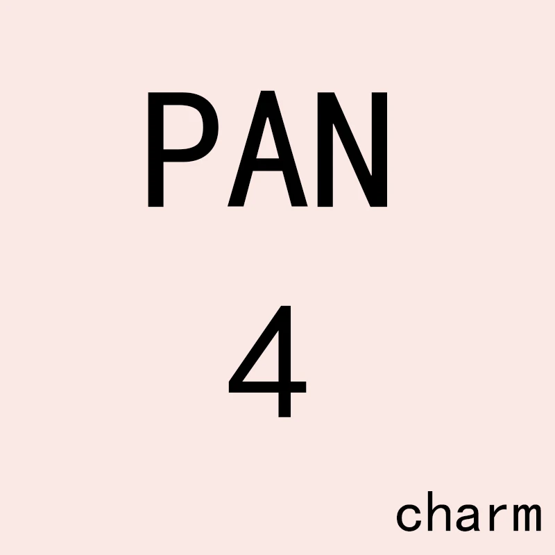 

PAN Charm 4