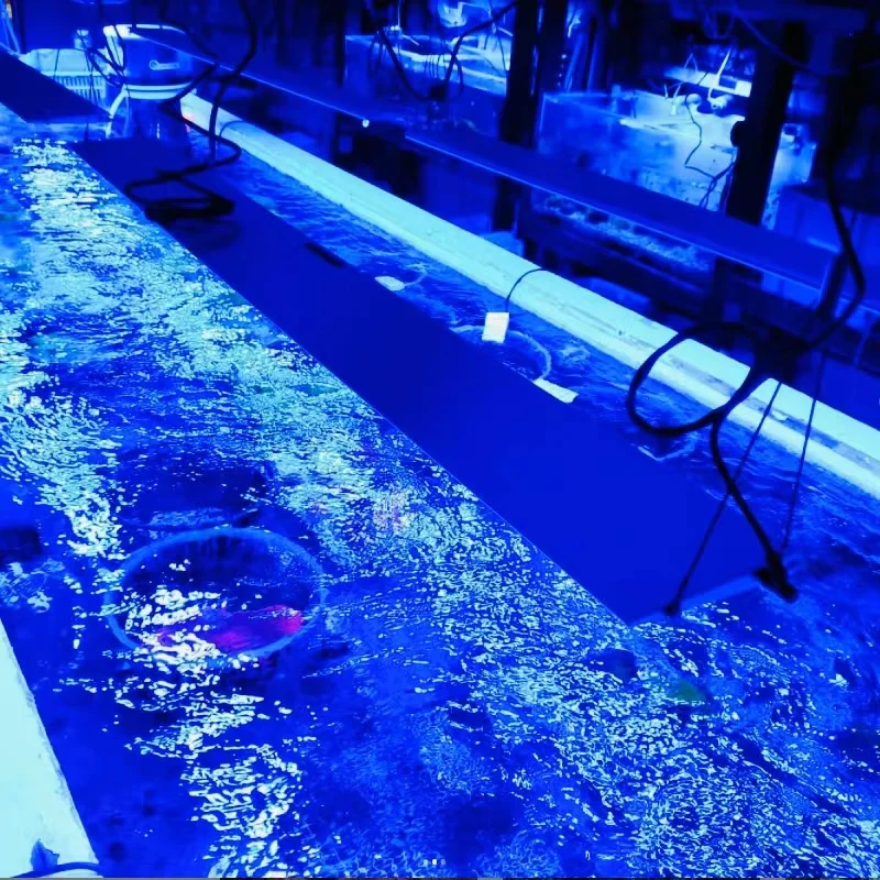 Хит продаж светодиодные светильники для аквариума Smart Reef регулируемая подставка