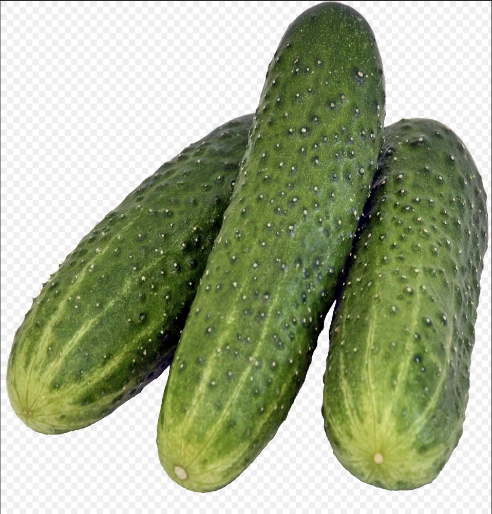 

Зеленый огурец