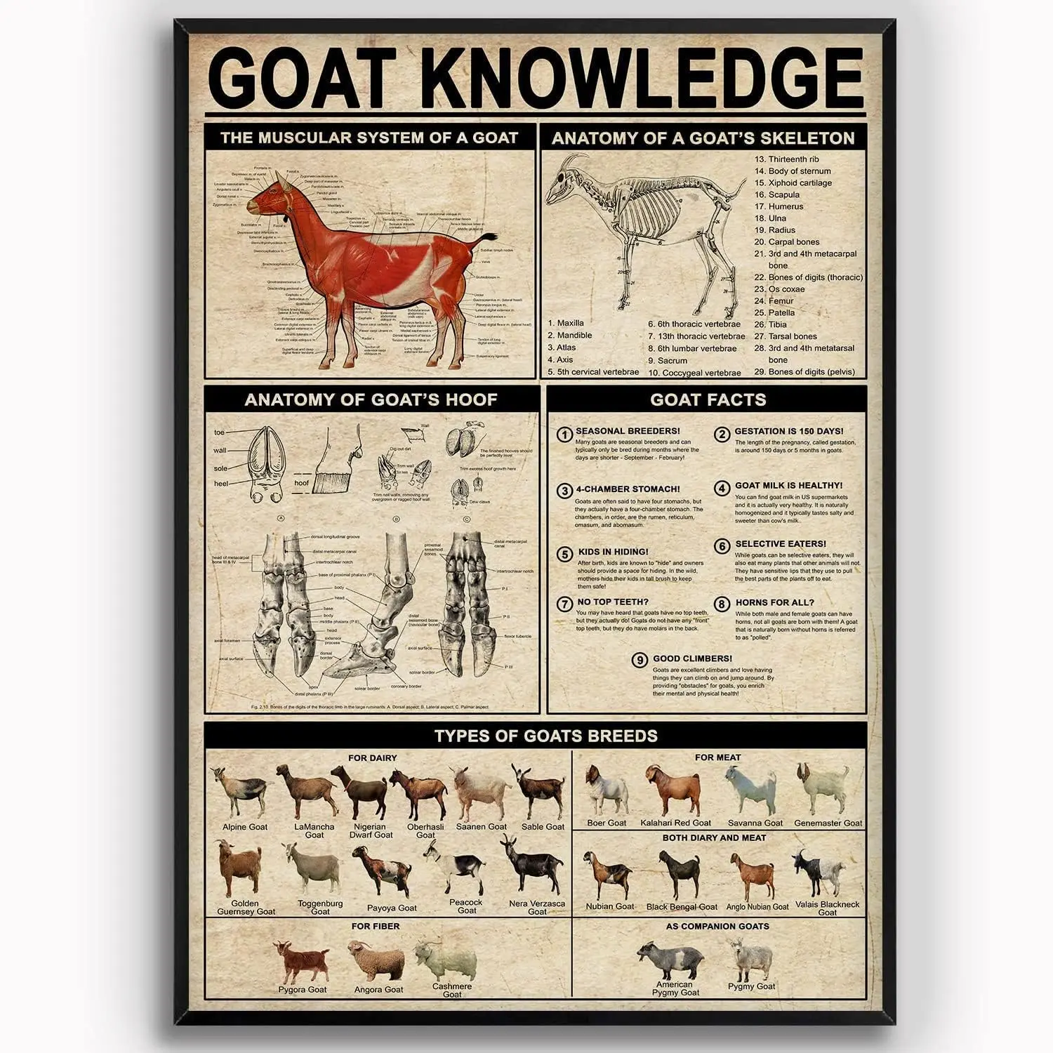 Strotore Got Breeder Gude Metl Sgns Wll Decor Knowge Ретро постеры Frm Rnch Educton Frmer Home Yrd Frmhouse Plque Decorton 1