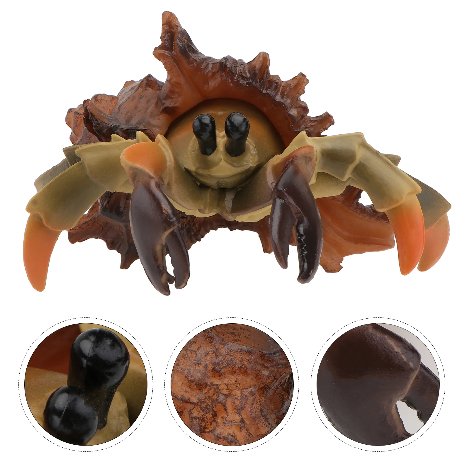 

Animals Model Hermit Crab Sea Ocean Collection Underwater Figurine Educational Science Realistic Figurines Figure Action Animal