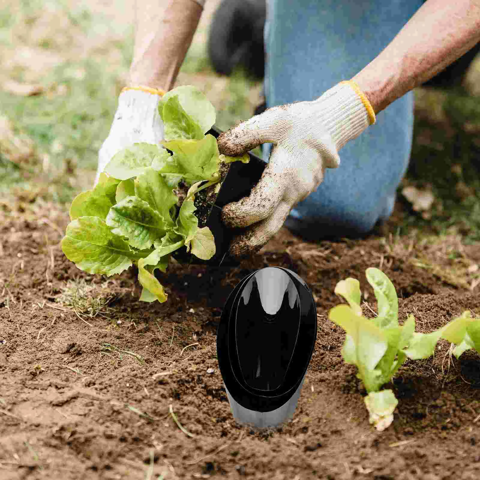 3 шт. садовый инструмент из нержавеющей стали ведро совок для посадки горшков