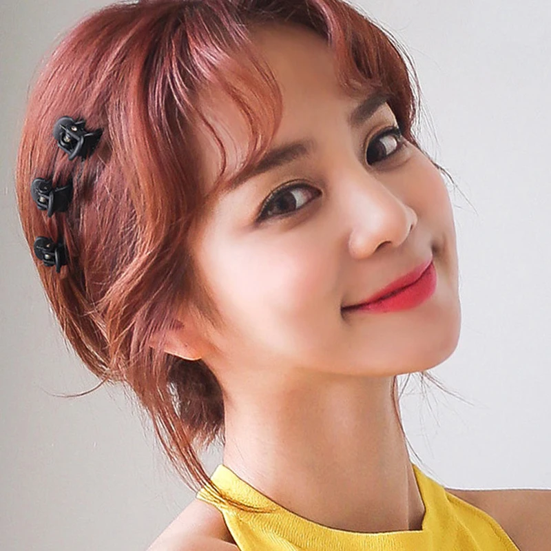 Рисунок 2 - женские Мини-заколки для волос