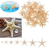 sea shells 525pcs bag mini starfish craft decoration natural starfish diy beach hut wedding decoration craft wedding