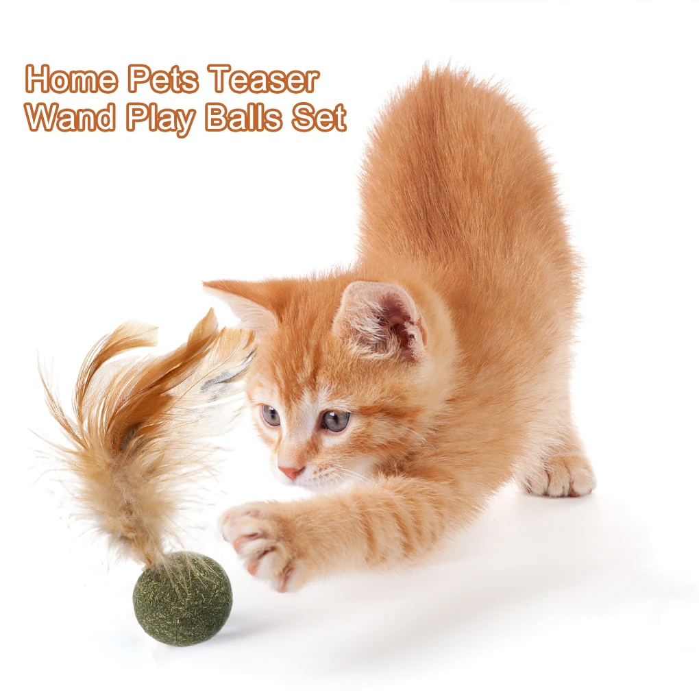 

Indoor Pet Toy Ball Feather Plant Funny Ball Toy Cat Indoor Interactive Toy Pet Training Toy Kitten Game Supplies Free Shipped