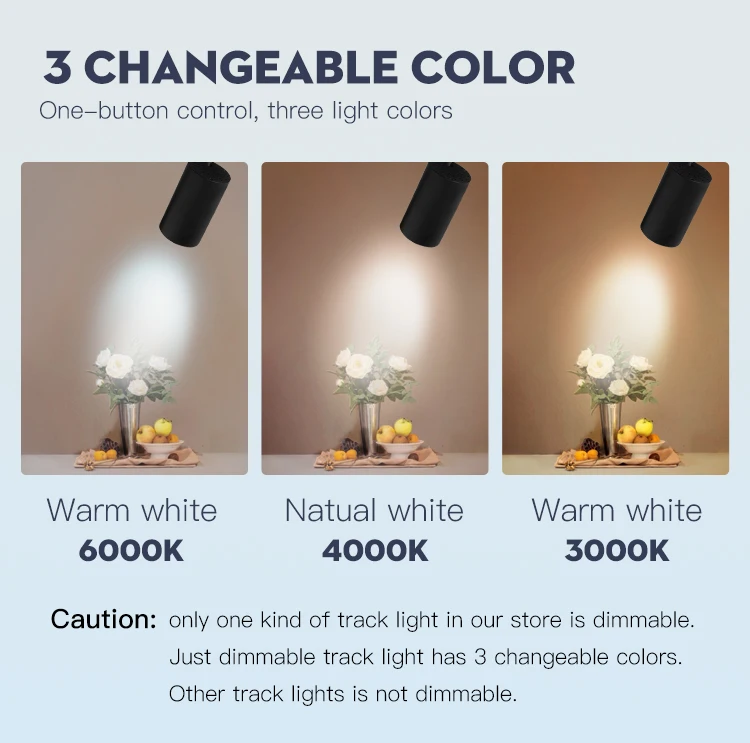 Led Cob Spoor Licht Spot Verlichting 12/20/30/40W 220V Dimbare Plafond Lamp Voor Woonkamer Keuken Home
