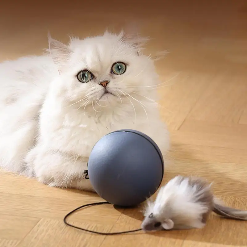 

Smart Moving Cat Toy Ball with Long Tail Teaser Automatic Interactive Toy for Indoor Cats Self Moving Toy for Cats Kittens