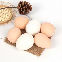 Яйцо антистресс#2