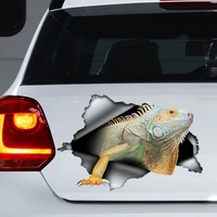 iguana car decal iguana car magnet iguana sticker