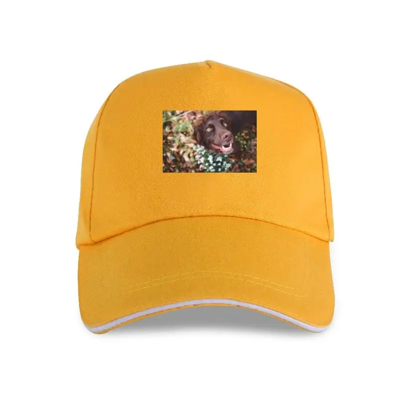

Sun hat Cocker Spaniel DogSummermen's cotton Diy Baseball cap shirtCasual